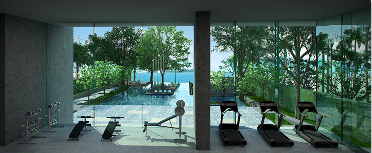 รูปภาพ ซายร์ วงศ์อมาตย์ (Zire Wongamat)