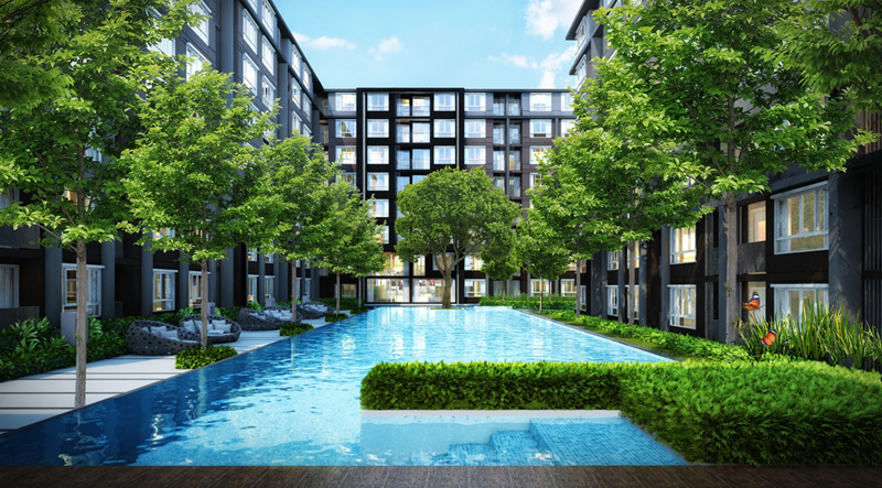 รูปภาพ ดีคอนโด แคมปัส รีสอร์ท กู้กู (dcondo Campus Resort Kuku Phuket)