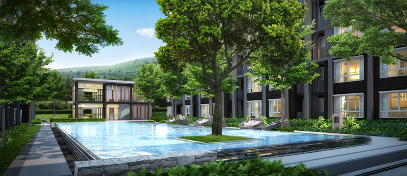 รูปภาพ ดีคอนโด แคมปัส รีสอร์ท กู้กู (dcondo Campus Resort Kuku Phuket)