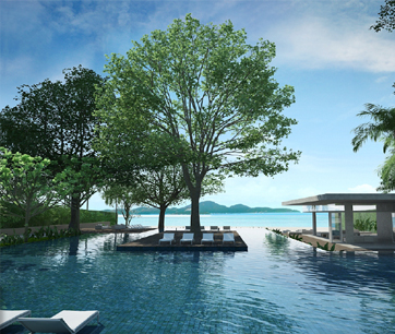 รูปภาพ ซายร์ วงศ์อมาตย์ (Zire Wongamat)