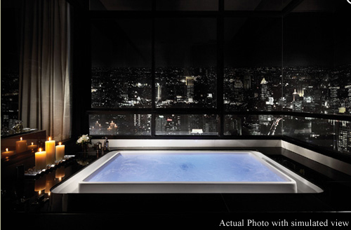 รูปภาพ ไอวี่ แอมพิโอ (Ivy Ampio)