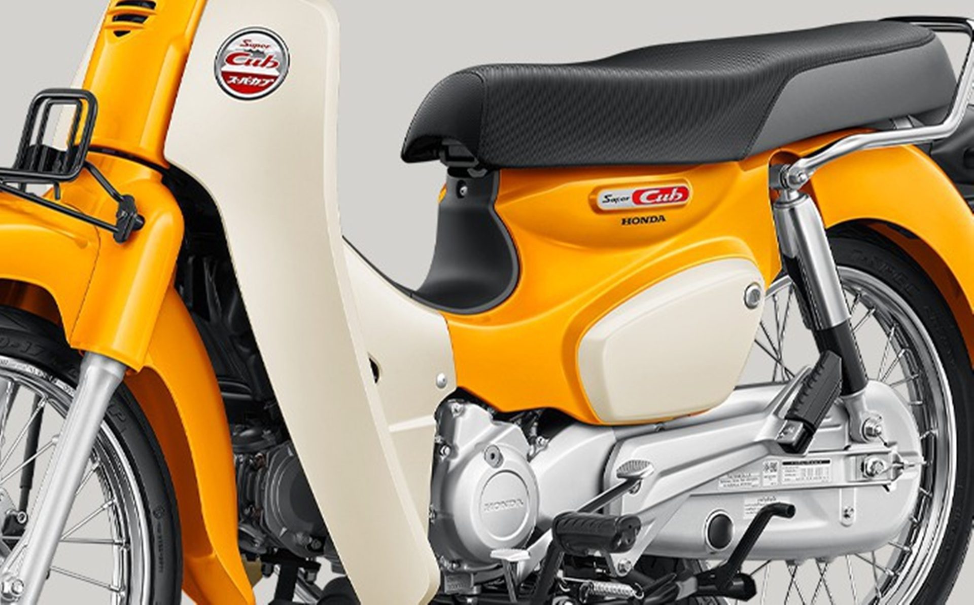 รูปภาพ ฮอนด้า Honda Super Cub (Standard) ปี 2025