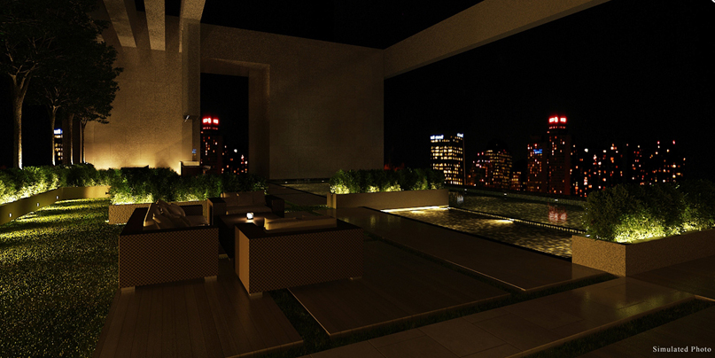 รูปภาพ ไอวี่ แอมพิโอ (Ivy Ampio)