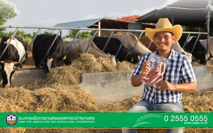 รูปภาพ สินเชื่อสานฝันเกษตรกรรุ่นใหม่-ธ.ก.ส. (BAAC)