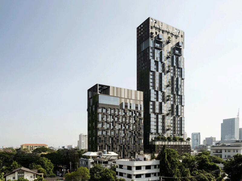 รูปภาพ แอชตัน มอร์ฟ 38 (Ashton Morph 38)