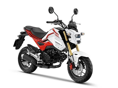 รูปภาพ ฮอนด้า Honda MSX125 SF Standard MY20 ปี 2020